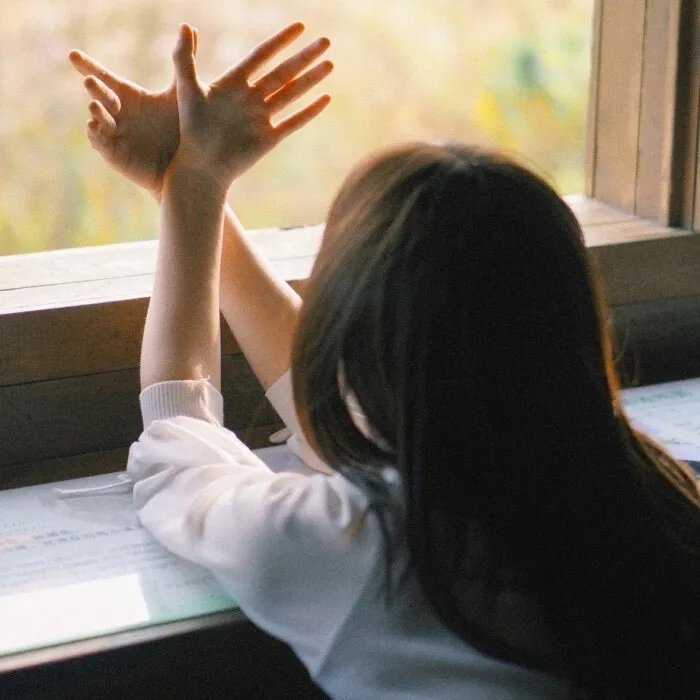 职场小烈第五季